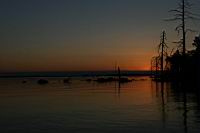 IMG_0477.JPG