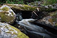 IMG_0567.JPG