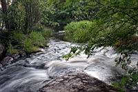 IMG_0590.JPG