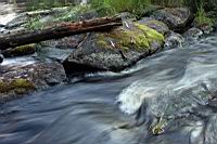 IMG_0594.JPG