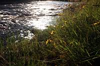 IMG_0764.JPG