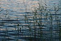 IMG_0795.JPG