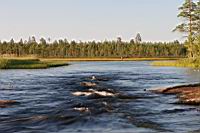 IMG_1073.JPG