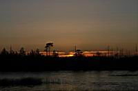 IMG_1087.JPG