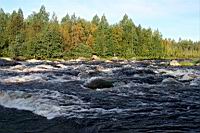 IMG_1122.JPG