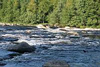 IMG_1123.JPG