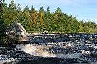 IMG_1124.JPG