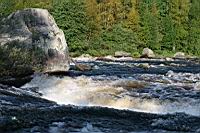 IMG_1126.JPG