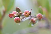 IMG_1181.JPG