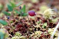 IMG_1184.JPG