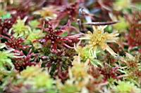IMG_1186.JPG