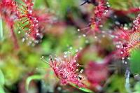 IMG_1189.JPG