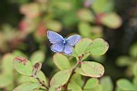 IMG_1209.JPG