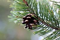 IMG_1266.JPG