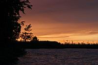 IMG_1274.JPG