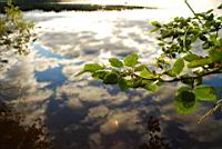 DSC_1183.JPG