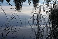 IMG_2439.JPG