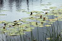 IMG_2465.JPG