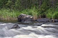 IMG_3021.JPG