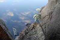 IMG_3312.JPG