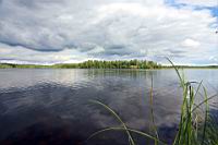 IMG_3402.JPG