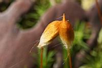 IMG_3847.JPG