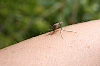 IMG_3871.JPG