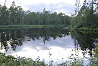 _IGP2446.JPG