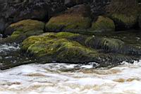 IMG_0958.JPG