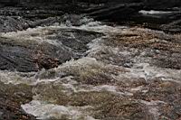 IMG_9568.JPG