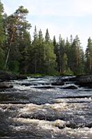 IMG_9682.JPG