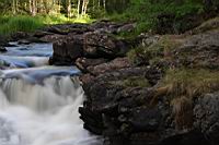 IMG_0077.JPG