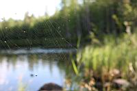 IMG_0408.JPG