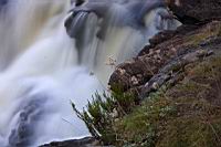 IMG_0479.JPG