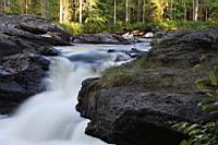 IMG_0482.JPG