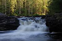 IMG_0484.JPG