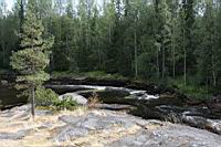 IMG_0916.JPG