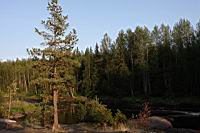 IMG_0925.JPG