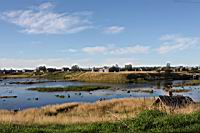 IMG_1017.JPG