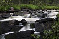 IMG_8636.JPG