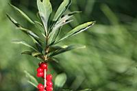 IMG_9168.JPG