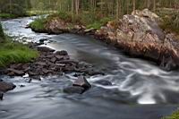 IMG_9322.JPG