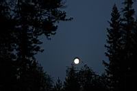 IMG_9434.JPG