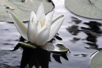 IMG_9670.JPG
