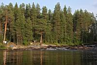 IMG_9692.JPG