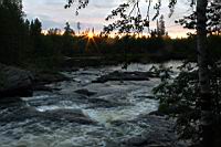 IMG_9917.JPG