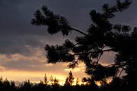 IMG_9947.JPG
