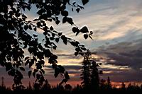 IMG_9972.JPG
