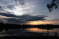 IMG_5041.JPG