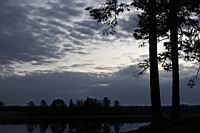 IMG_5075.JPG